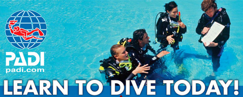 learn to dive banner home 1024x425 1 dive montenegro