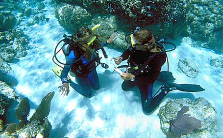 scuba review course dive montenegro